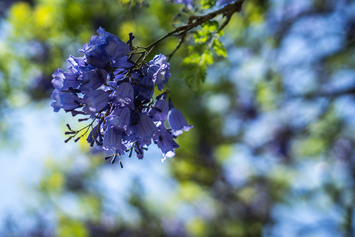 Gratification to the powers that be