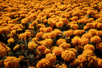 Maybe we're Making God Sad and Lonely