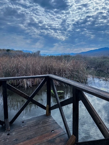 Lo que no soy/donde no estoy